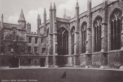 Quadrangle New College, Oxford de English Photographer