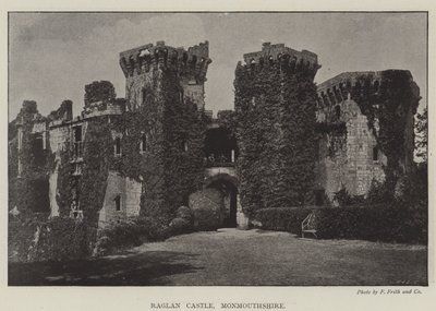 Raglan Castle, Monmouthshire de English Photographer