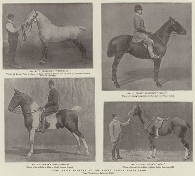 Alguns vencedores do prêmio no Royal Dublin Horse Show de English Photographer