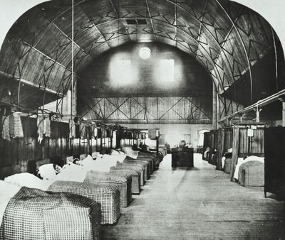 St Thomass Hospital: ala temporária no Surrey Gardens Music Hall, 1868 de English Photographer