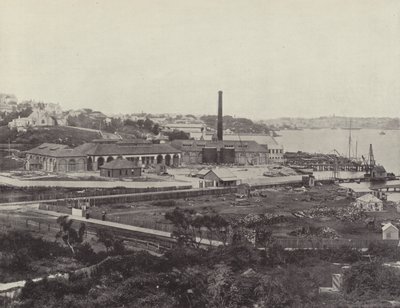 Sunlight Soap Companys Works, próximo a Sydney de English Photographer