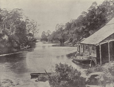 Supply River, Tasmânia de English Photographer