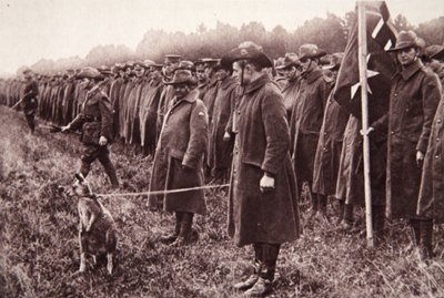 A resenha Anzac na planície de Salisbury: um mascote australiano, ilustração do The Illustrated War News, 27 de setembro de 1916 (foto sépia) de English Photographer
