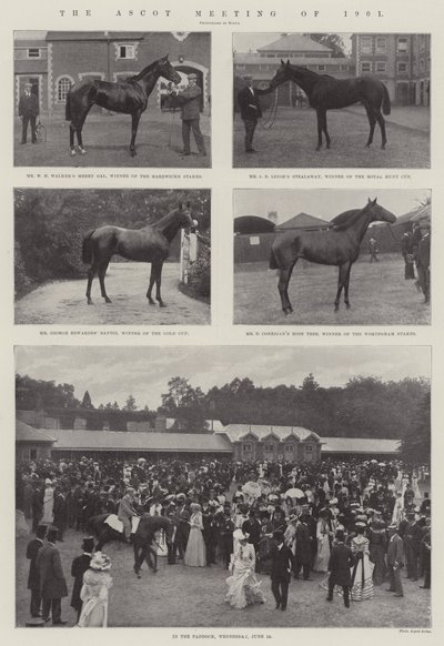 O encontro de Ascot de 1901 de English Photographer