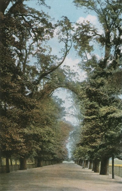 The Broad Walk de English Photographer