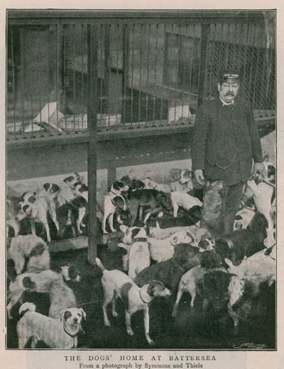 The Dogs Home em Battersea de English Photographer