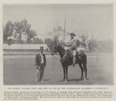 The Bugler Horse, vendido por £ 2627 em Ajuda do Australian Bushmens Contingent, Adelaide. Ilustração para The Illustrated London News, 26 de maio de 1900 de English Photographer