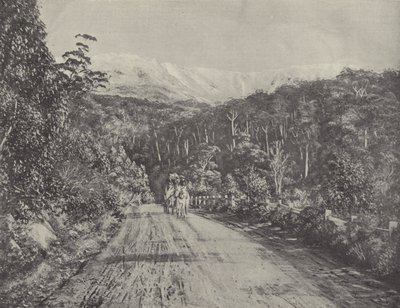 The Huon Road de English Photographer