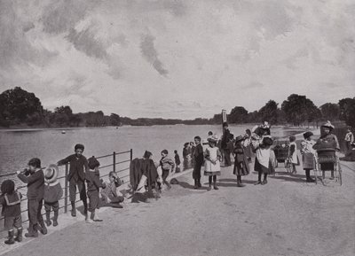 A serpentina de English Photographer