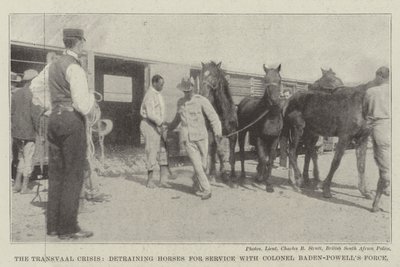 A Crise do Transvaal, destreinando Cavalos para Serviço com o Coronel Baden-Powells Force de English Photographer
