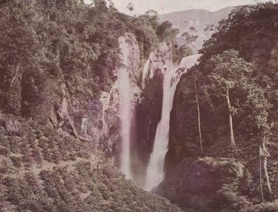 As Cataratas Gêmeas (Café Crescendo em Primeiro Plano), Ceilão (foto colorida) de English Photographer