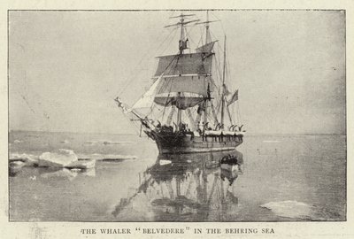 O Belvedere Whaler no Mar Behring de English Photographer