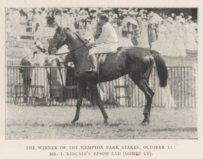 O vencedor do Kempton Park Stakes, 11 de outubro, Sr. T Kincaids Epsom Lad (Gomez) de English Photographer
