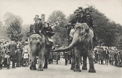 Os elefantes do Jardim Zoológico de Londres no Regent