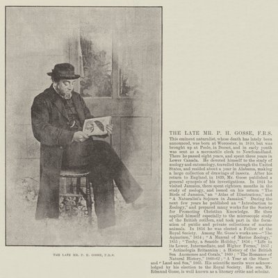 O falecido Sr. PH Gosse, FRS de English Photographer