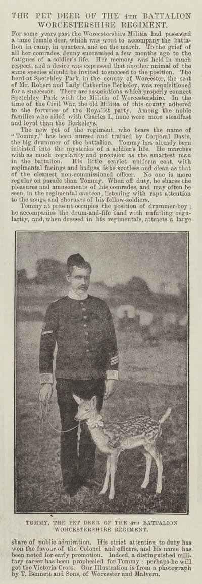 Tommy, o veado de estimação do 4º Batalhão Worcestershire Regiment de English Photographer