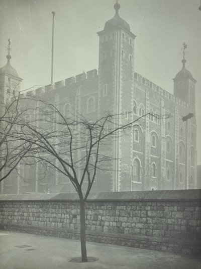 Torre de Londres, Tower Hill: Torre Branca, 1899 de English Photographer