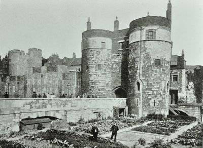 Torre de Londres, Tower Hill: o beauchamp e Byward Towers, 1895 de English Photographer