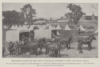Vagões de transporte do Corpo de Bushmens do Sul da Austrália para a África do Sul de English Photographer