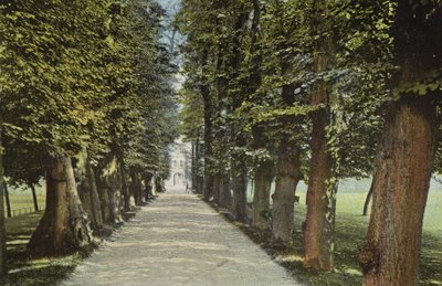 Trinity College, a avenida de English Photographer