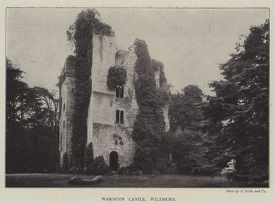 Castelo de Wardour, Wiltshire de English Photographer