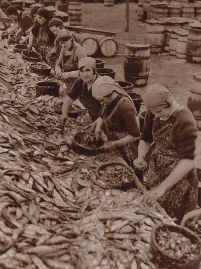 Mulheres em Great Yarmouth a separar e limpar arenques (fotografia a preto e branco) de English Photographer