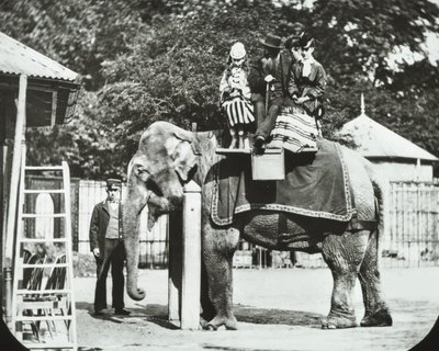 Jardins Zoológicos, Regents Park: elefante com adultos e crianças passeando, zoológico de Londres, 1894 de English Photographer
