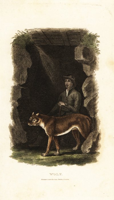 Cavalheiro inglês do século XVIII e seu lobo manso, Canis lupus, na entrada de uma caverna de English School