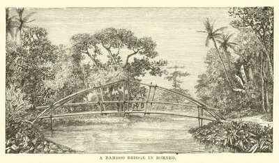 Uma ponte de bambu em Bornéu de English School