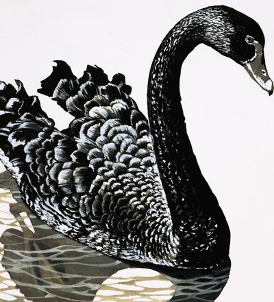 Um cisne negro de English School