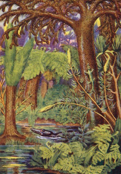 Uma floresta de carvão (litografia a cores) de English School