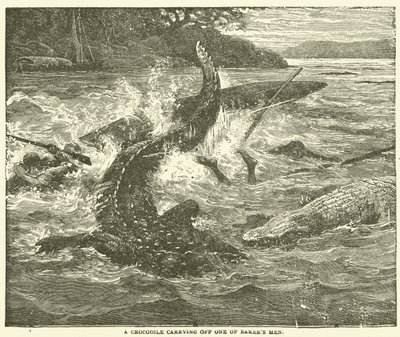 Um crocodilo carregando um dos homens de Baker (gravura) de English School
