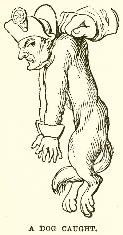 Um cão apanhado de English School
