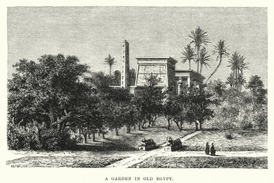 Um Jardim no Velho Egipto (gravura) de English School