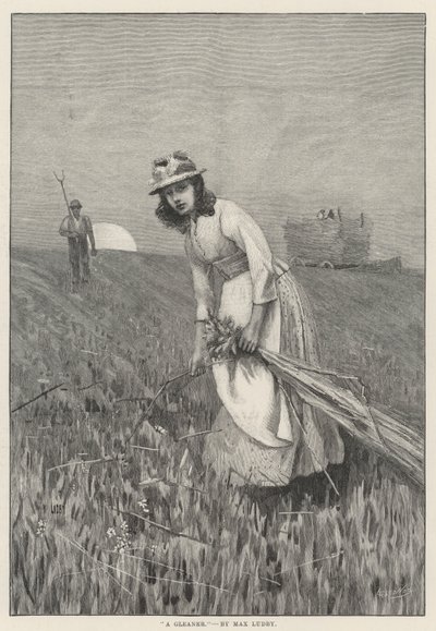 Um Gleaner (gravura) de English School