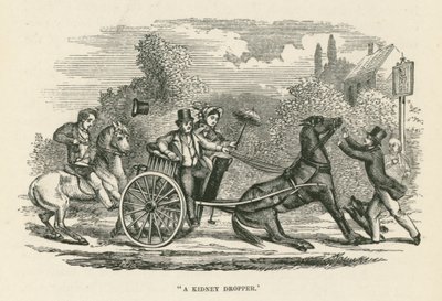 "Ein Nierentropfer" (Gravur) von English School