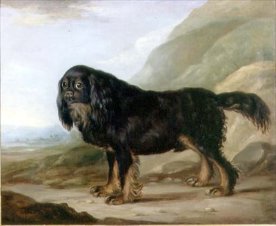 Um Rei Charles Spaniel em uma Paisagem de English School