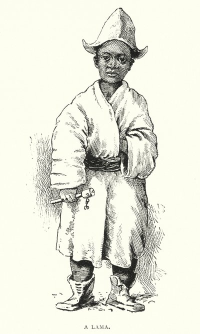 Um Lama (gravura) de English School
