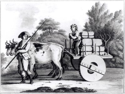 Uma quinta portuguesa, de uma visão geral do Estado de Portugal por James Murphy, publicada em 1797 de English School