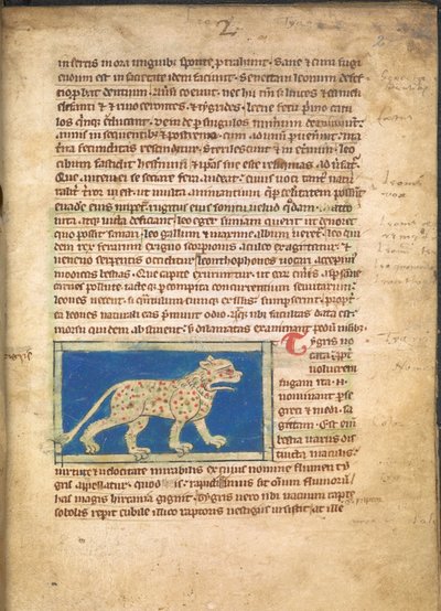 Um Tigre, de Sloane 3544, f.2 (velino) de English School