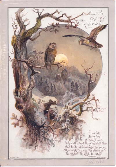Um cartão de Natal vitoriano de uma coruja empoleirada num ramo numa noite de luar, c.1880 (cor litho) de English School