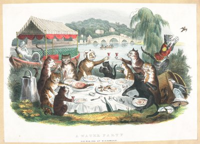 Um partido da água - Picnicing em Richmond de English School