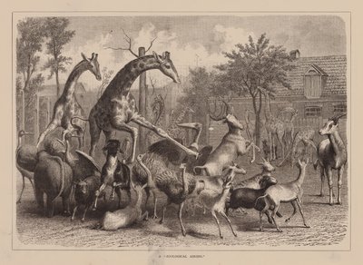 Um "arejamento zoológico" (gravura) de English School