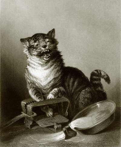 Uma catástrofe de English School