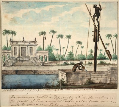 Um jardim colonial mostrando irrigação, c.1787 (aguarela sobre papel) de English School