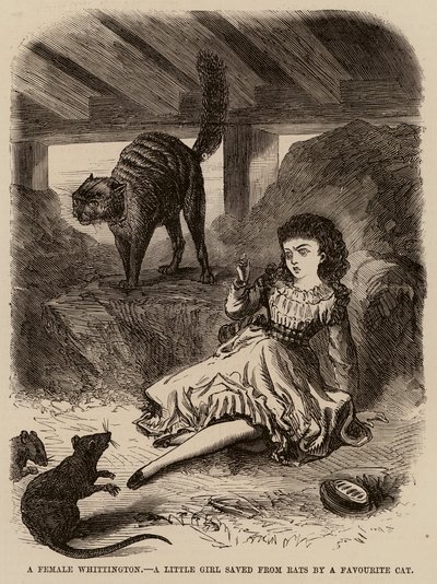 Uma Whittington feminina, uma menina salva dos ratos pelo seu gato favorito (gravura) de English School