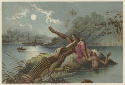 Um incidente terrível, crocodilo atacando a menina nativa de English School