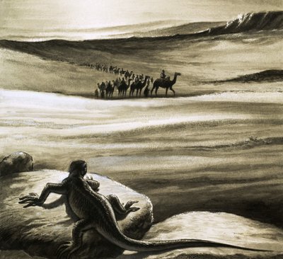 Um lagarto observa um comboio de camelos a atravessar o deserto de English School