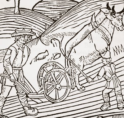 Um par de bois amarrado a um arado, título de John Fitzherberts Boke of Husbandry, primeiro pub. 1523 de English School