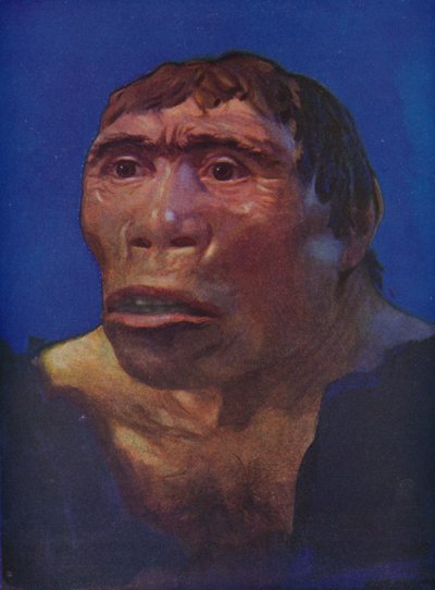 Uma reconstrução do homem de Java de English School